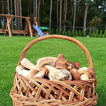 Σπίτι διακοπών Zloto Polnocy Na Wylacznosc, Parking, Plac Zabaw, Tarasy *