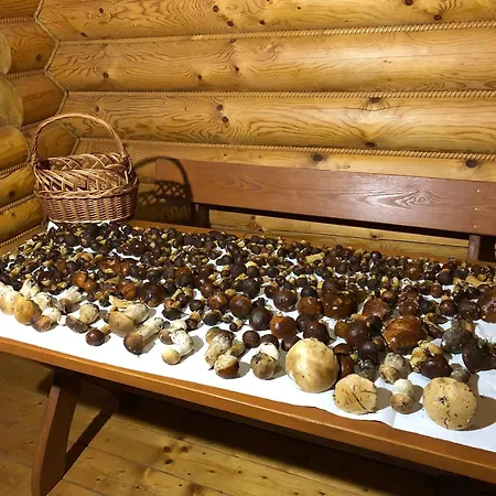 Zloto Polnocy Na Wylacznosc, Parking, Plac Zabaw, Tarasy *