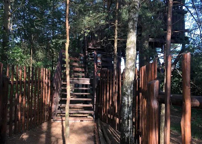 Zloto Polnocy Na Wylacznosc, Parking, Plac Zabaw, Tarasy בית נופש *