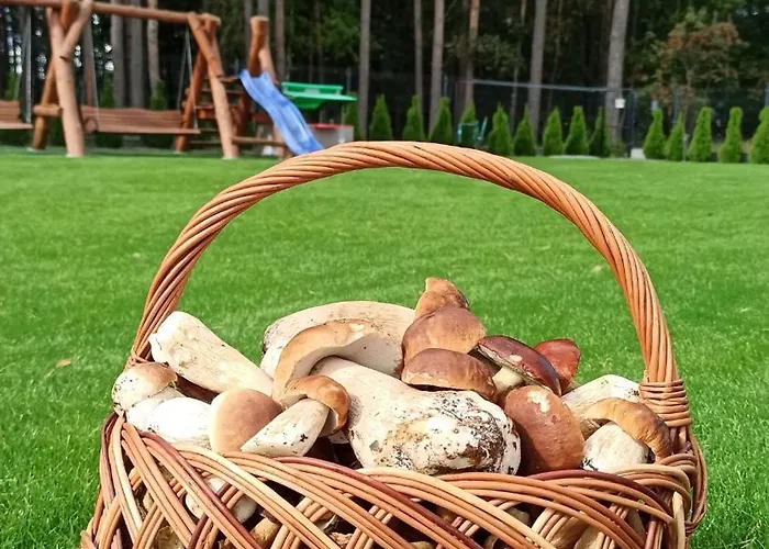 別荘 Zloto Polnocy Na Wylacznosc, Parking, Plac Zabaw, Tarasy *