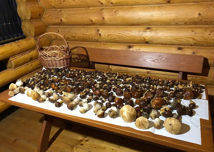 Zloto Polnocy Na Wylacznosc, Parking, Plac Zabaw, Tarasy *